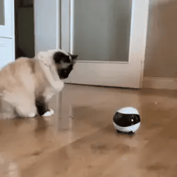 LiebeUns™ - LiebeBot